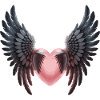 Maglietta Love Angel Wings – Cuore con le ali