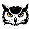 Mystic Owl Head Nature