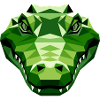 Crocodile Alligator Reptile Crocodile Adore les Crocodiles