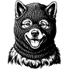 Eurasier | Bandito