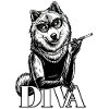Eurasier | Diva