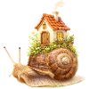 Snail with small house fantasy illustration