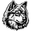 Eurasier | Wildfarben