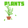 Plant Medicine