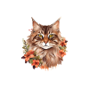Pyjama Chat Maine Coon Humour