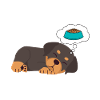 Funny Rottweiler Dog Pajamas