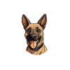Funny Malinois Dog Pajamas