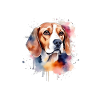 Hundepyjama, Beagle-Humor