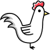 Rooster Animal