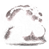 Bigfoot Motocross