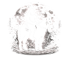 Bigfoot Équitation