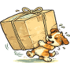 Happy parcel carrier dog