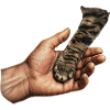 Katzenpfote Händchen Halten Motiv