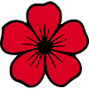 Fiore di ibisco fiore rosso fiore di ibisco fiore hawaiano