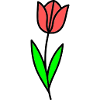 Bande dessinée Tulip Fleur