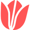 Tulip Blossom Abstract Flat