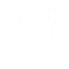 The Vegan Tarot Card Occult Design