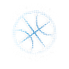 Basketball Tournament Team Sport Design