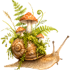 Snail with mushrooms forest illustration