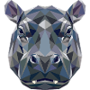 Nilpferd Flusspferd Mama Hippopotamus Cooles Hippo