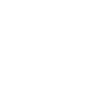 Rapping Raccoon with Bling
