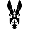 Donkey / Head