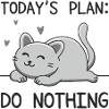 Today's Plan