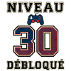 Level 30 freigeschaltet – Spielcontroller