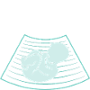 Ultrasonic Technician Ultrasonic Technician