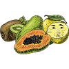 Fruits Fruit
