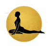 Pigeon Pose Yoga Silhouette Golden Sun