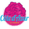 Côte d'Azur Retro Oleander France Souvenir