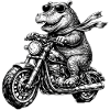 Hippo on Motorcycle