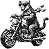 Grande gatto in moto