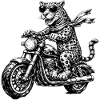 Leopard on motorcycle with sunglasses