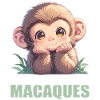Macaque Macaque