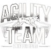 Sport canini di squadra di agility – Costruiti per la velocità