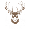 Hunting Hunting Huntsman Hunters