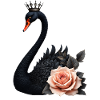 Black Swan Crowned with Rose