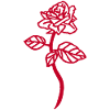Die rote Rose