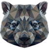 Wombat Australia Marsupial Adorable Wombat