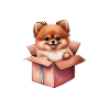 Lustige Pomeranian-Spitzhunde-Pyjamas