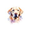 Labrador-Hunde-Pyjama-Humor