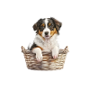 Funny Australian Shepherd Dog Pajamas
