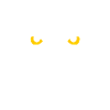 Owl with shining eyes