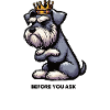 Before You Ask Schnauzer Riesenschnauzer  
