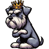 Schnauzer géant Schnauzer Propriétaire de Schnauzer
