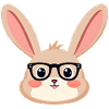 Rabbit with glasses