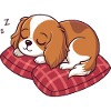 Sleeping Puppy on Plaid Pillow