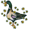Portrait fleuri de canard